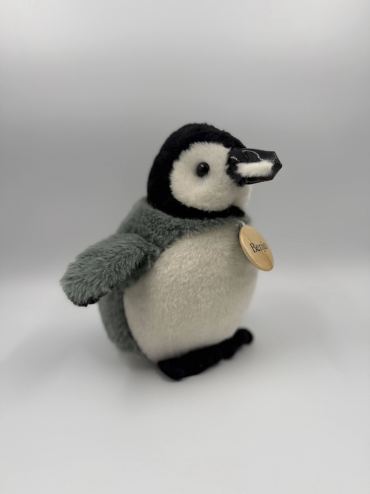 Benjamín