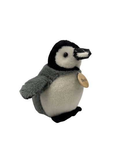 Benjamín